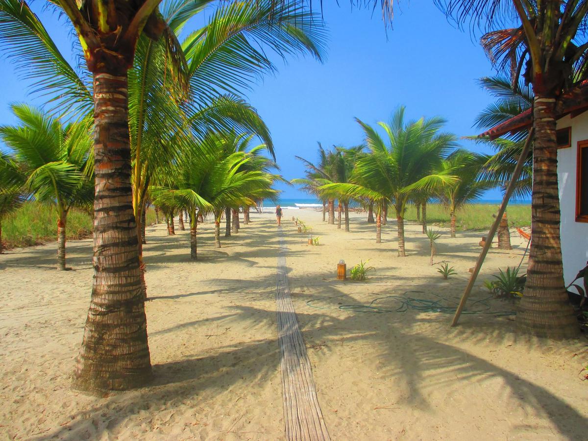 Beach Front Bungalows At The Coconut Каноа Экстерьер фото